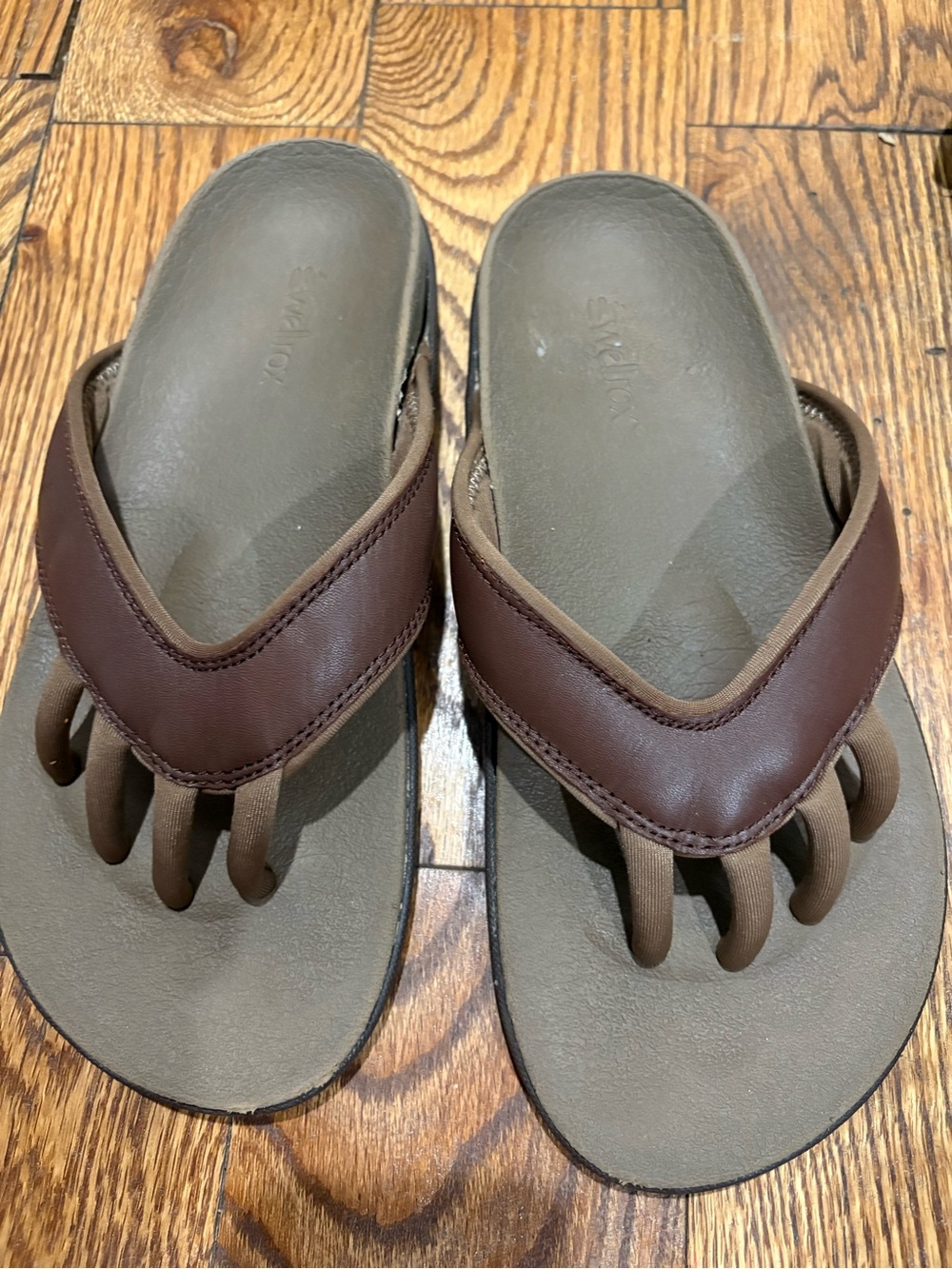 Women's Brown Toe-Loop Sandals Chloe style